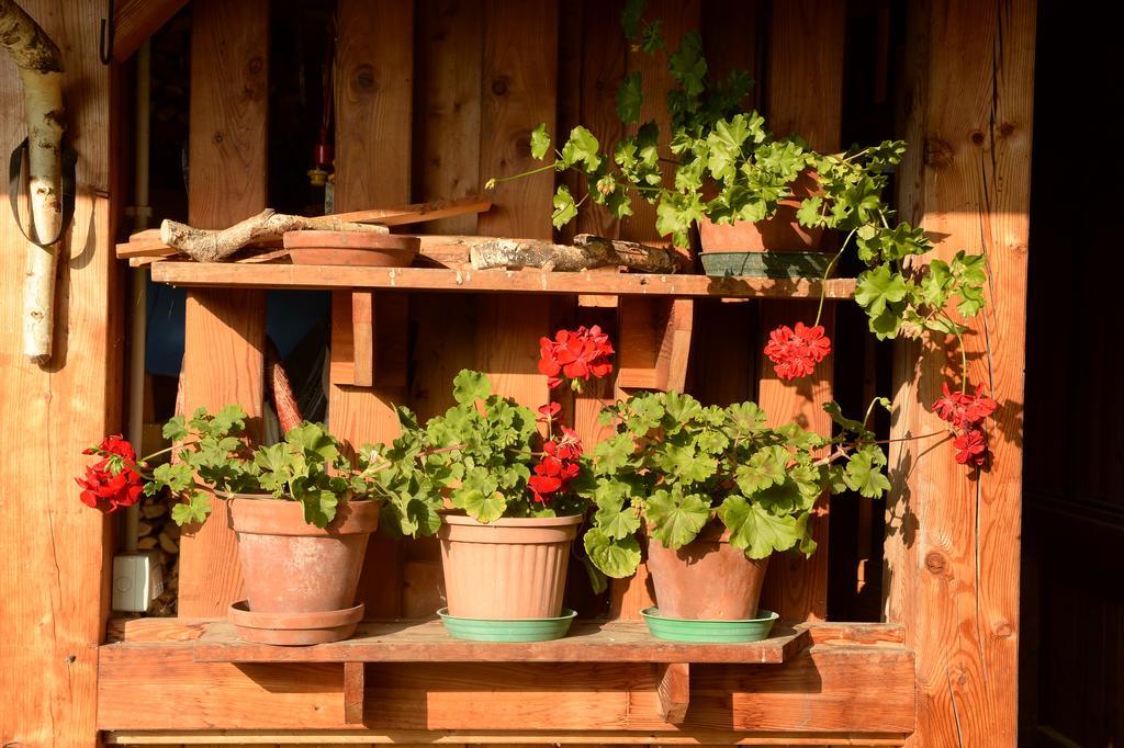 La Casa Al Noce Aparthotel Mezzana  Phòng bức ảnh